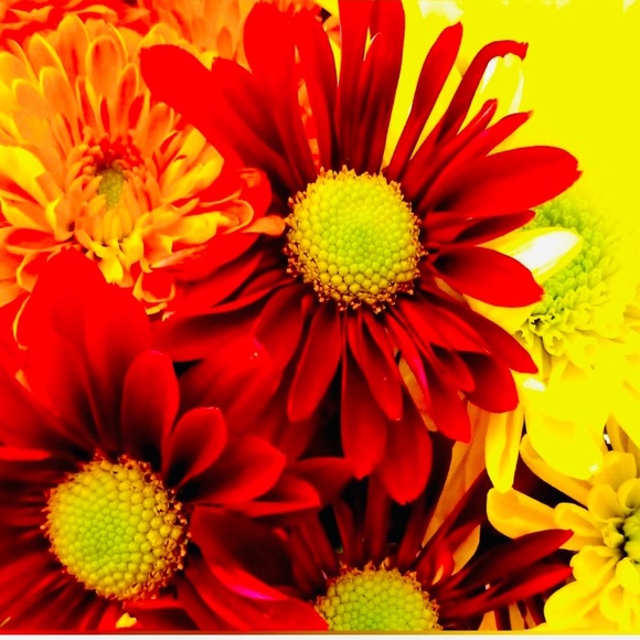 💚💙❤️💛🧡💚💙❤️💛🧡💚💙❤️💛🧡 - Picture 8 of 14